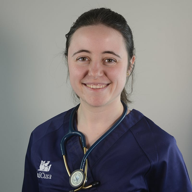 Photo de Dr. Vet. Desoye, Médecine Interne