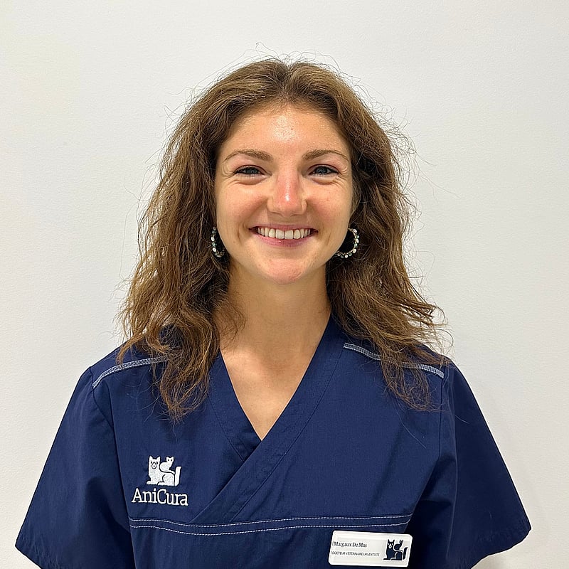 Photo de Dr. Vet. De Mas, Urgentiste