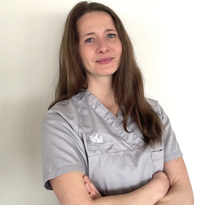 Photo de Dr. Vet. Gerard-Hirne, Chirurgie