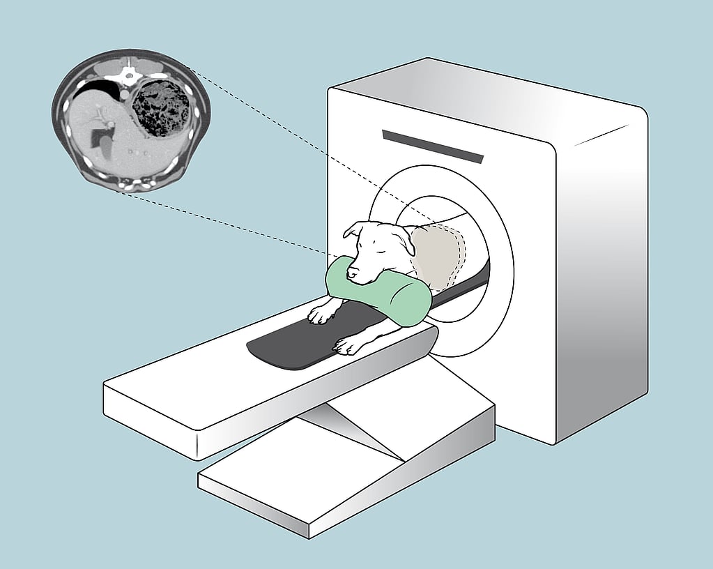 Une caricature d’un chien allongé sur une machine.