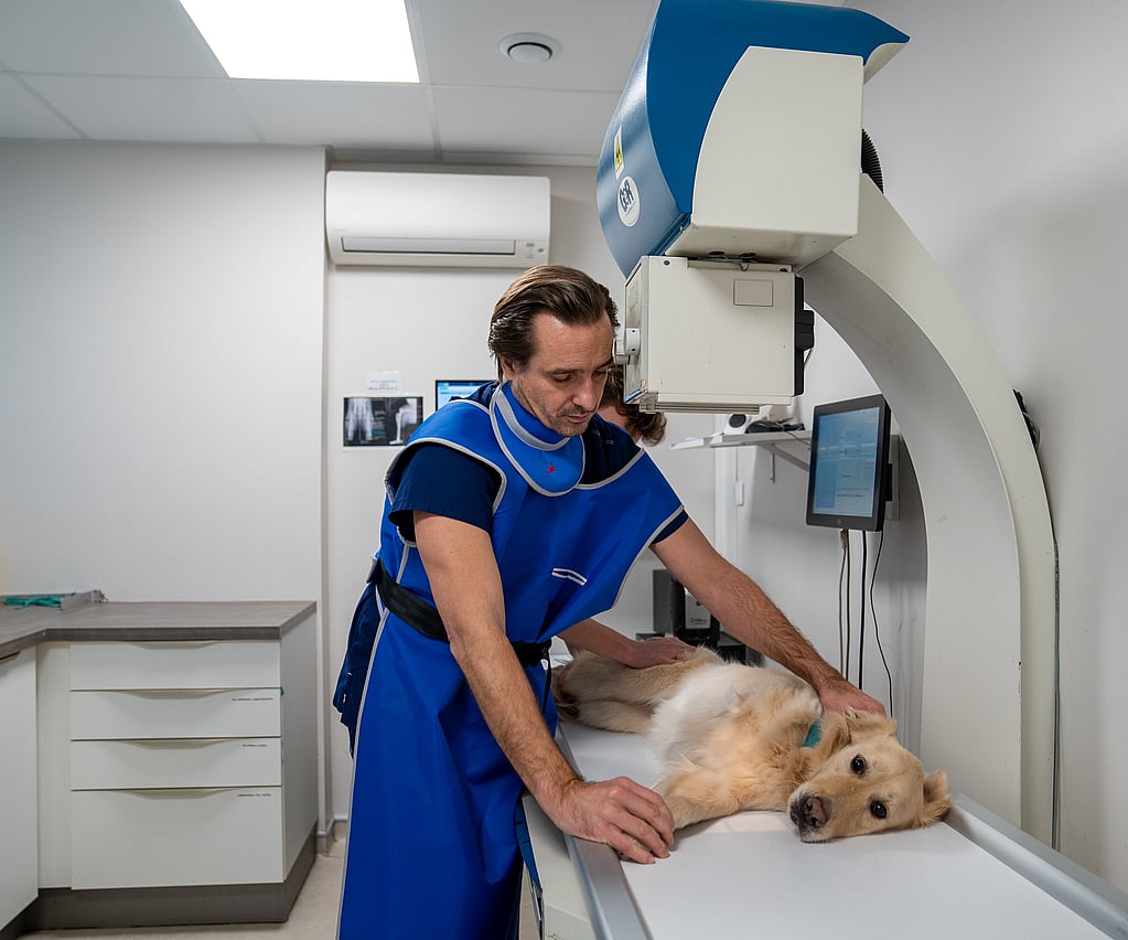 Une personne en robe bleue avec un chien allongé sur une table dans une pièce avec une grande machine.