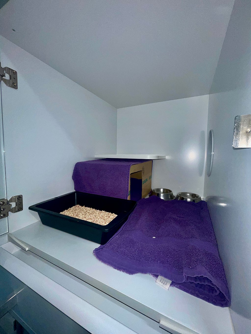 Un bac à litière pour chat avec une serviette violette et une serviette violette sur le dessus.