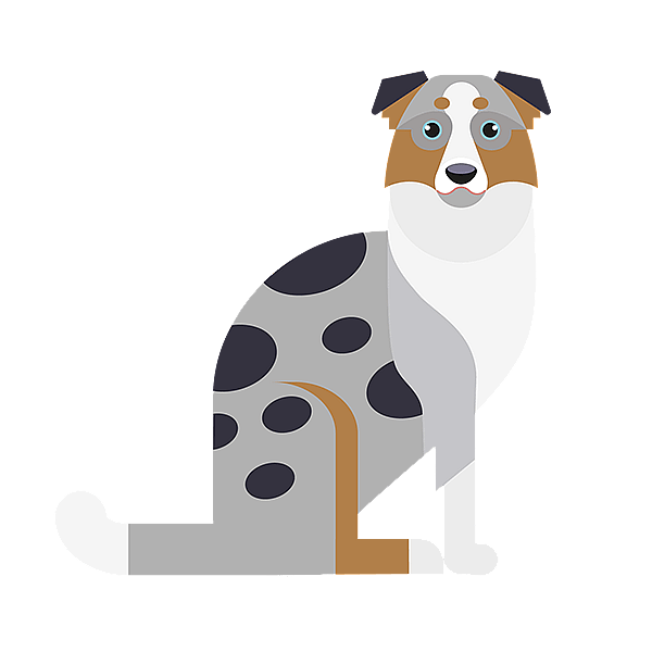Un chien assis sur un fond noir.