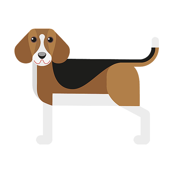 Un chien avec un fond noir.