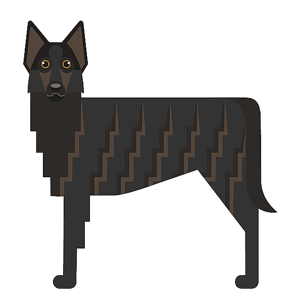 Un chien noir et brun.