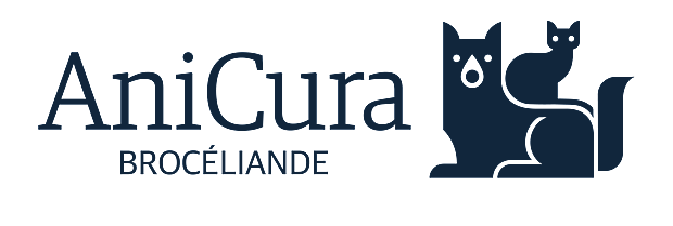 Clinique Brocéliande à Saint Malo logo
