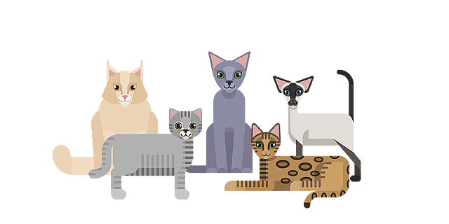 Un groupe de chats et de chatons.