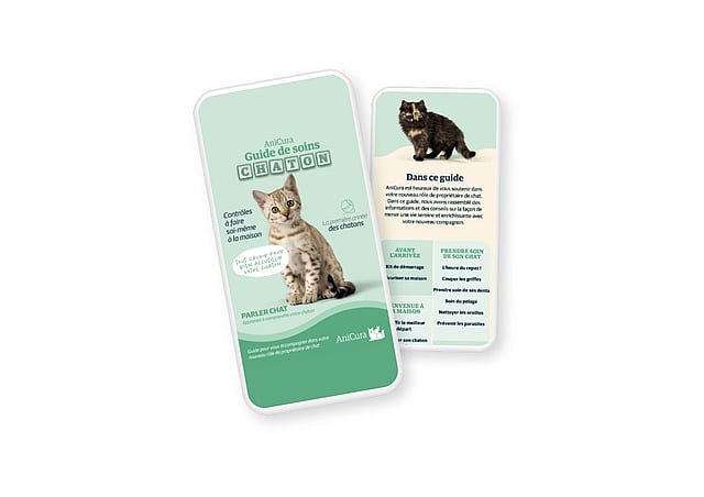 Une paire de cartes avec des images d’un chat.