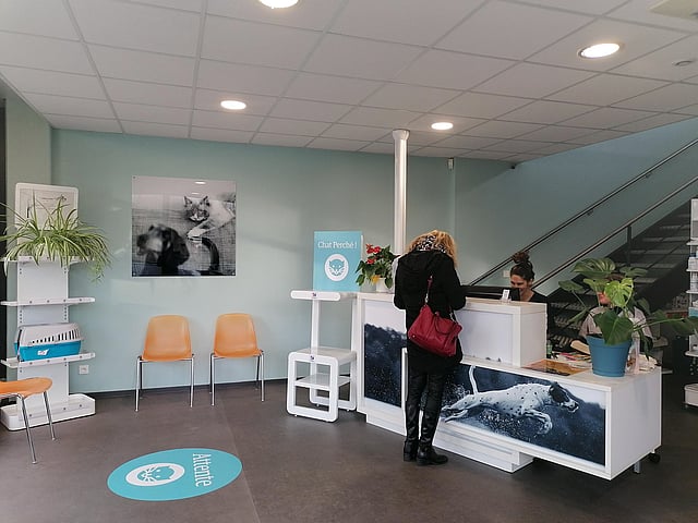 Une personne debout à un bureau dans une pièce avec des chaises et des escaliers.