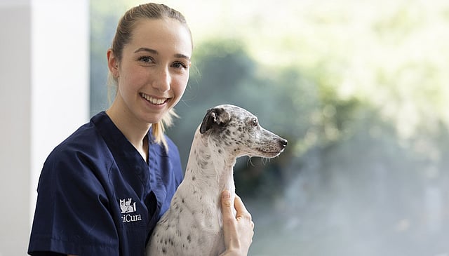 Une personne tenant un chien.