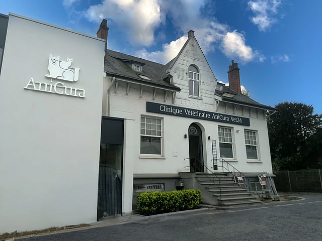 Un bâtiment blanc avec un chat sur le côté.