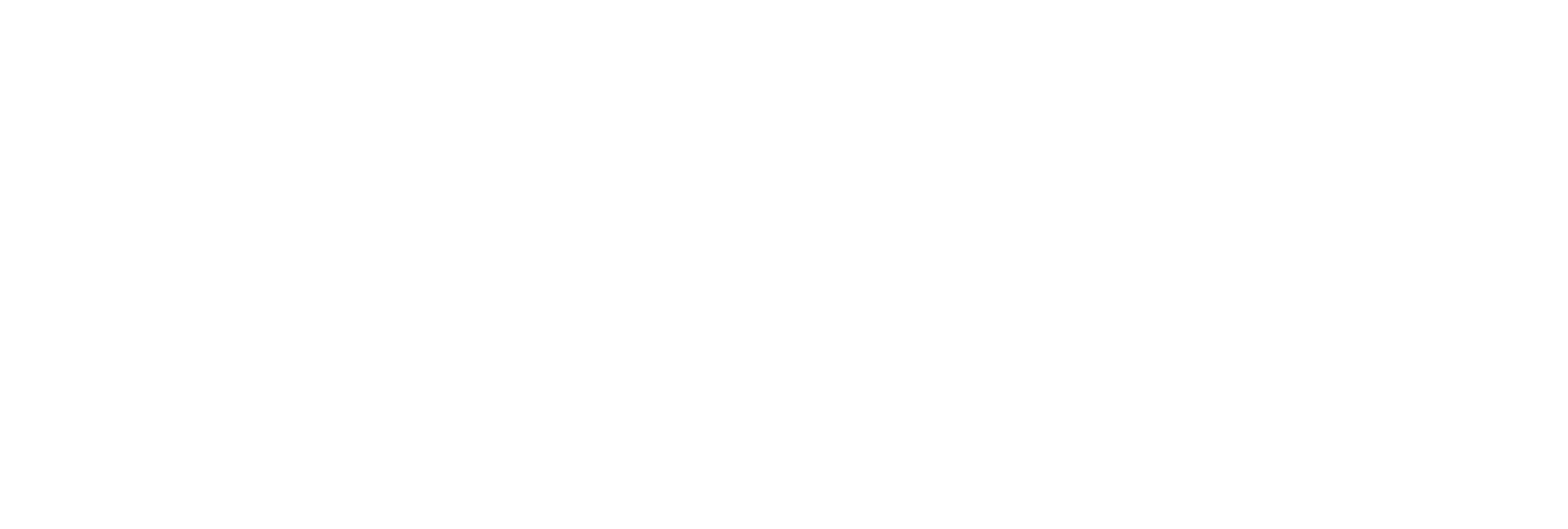 Clinique AniCura Brocéliande à la Richardais logo