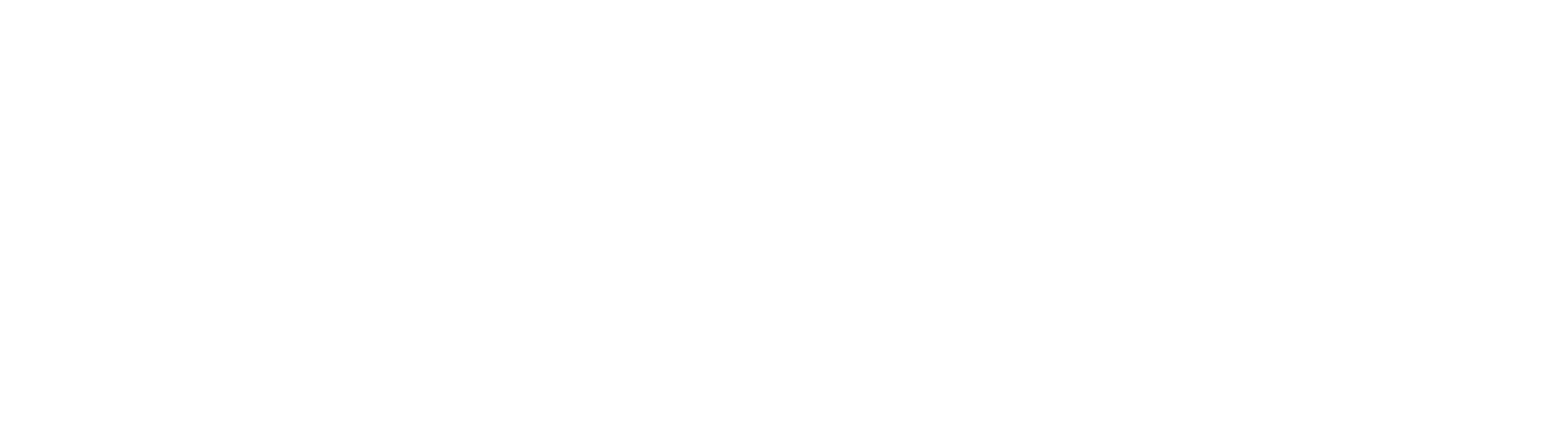 Clinique AniCura Saint Roch à La Rochelle logo