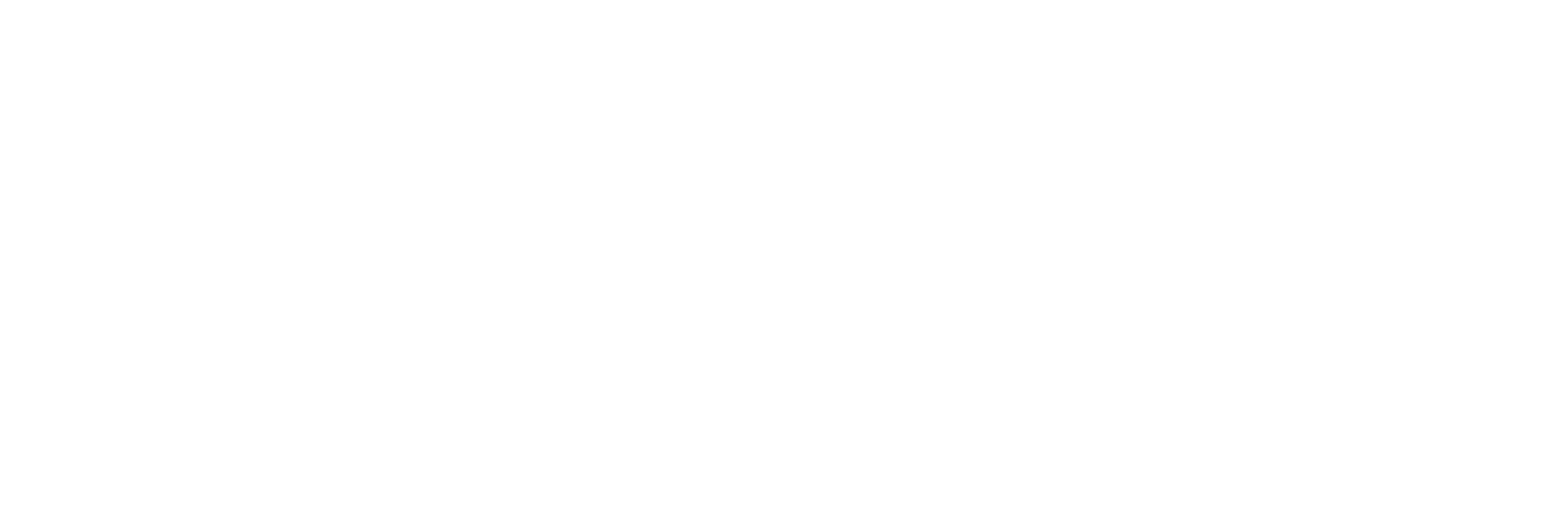 Clinique AniCura Tilleuls à Hœrdt logo