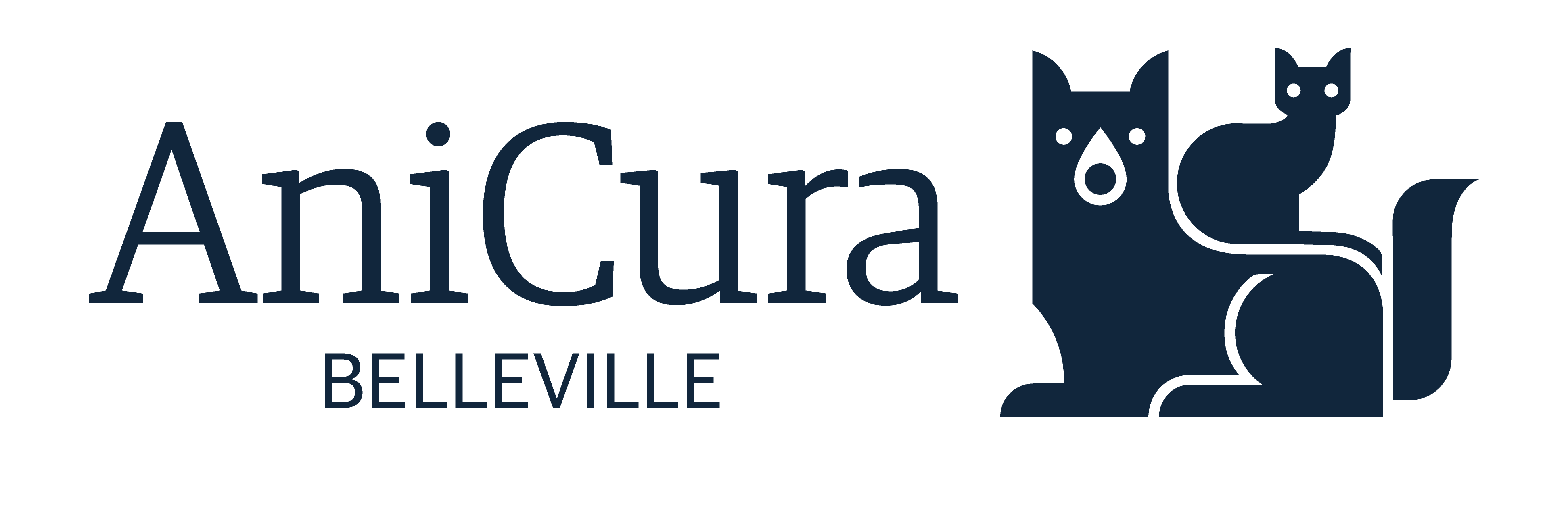 Clinique AniCura Belleville à Belleville-en-Beaujolais logo