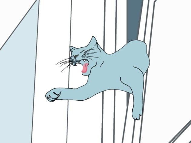 Un chat qui tire la langue.
