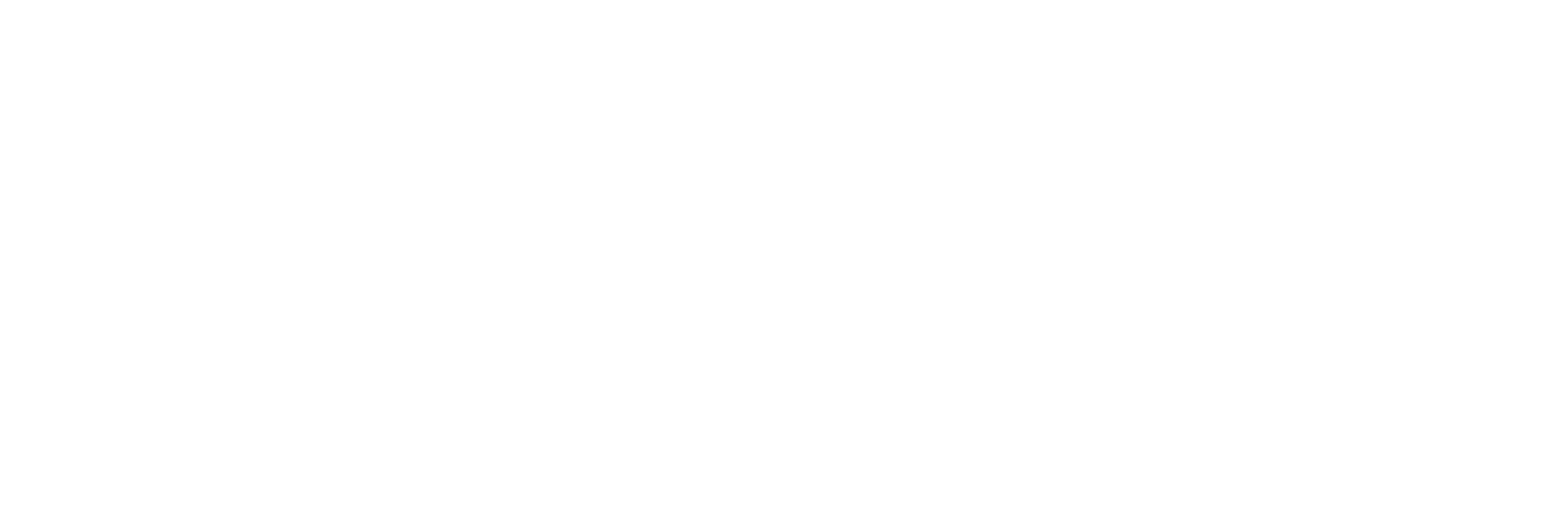 Clinique AniCura Vet24 à Marcq-en-Baroeul logo