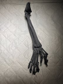 Un objet noir avec de longs os.
