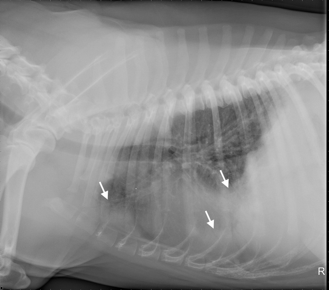 image8fyfj.png
